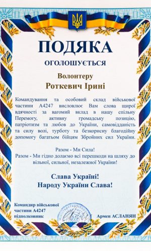 pryvatnyi_vykonavets-sudovyi_vykonavets-derzhavna_vykonavcha_sluzhba-vykonannia_rishennia_sudu