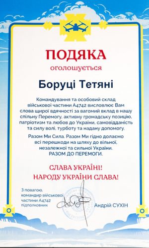 pryvatnyi_vykonavets-sudovyi_vykonavets-derzhavna_vykonavcha_sluzhba-vykonannia_rishennia_sudu